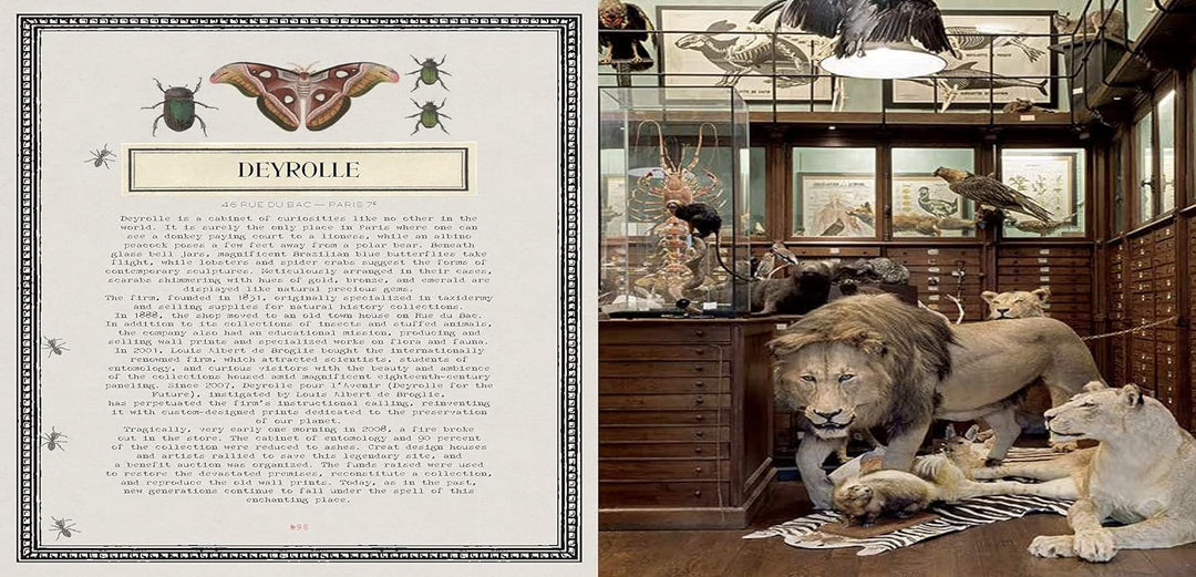Book - Timeless Paris