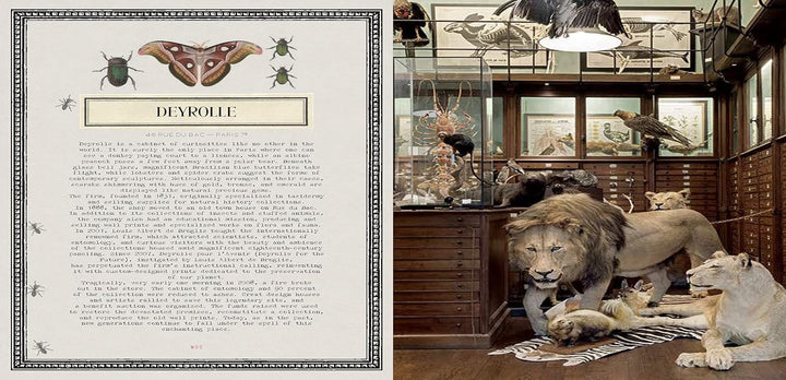 Book - Timeless Paris
