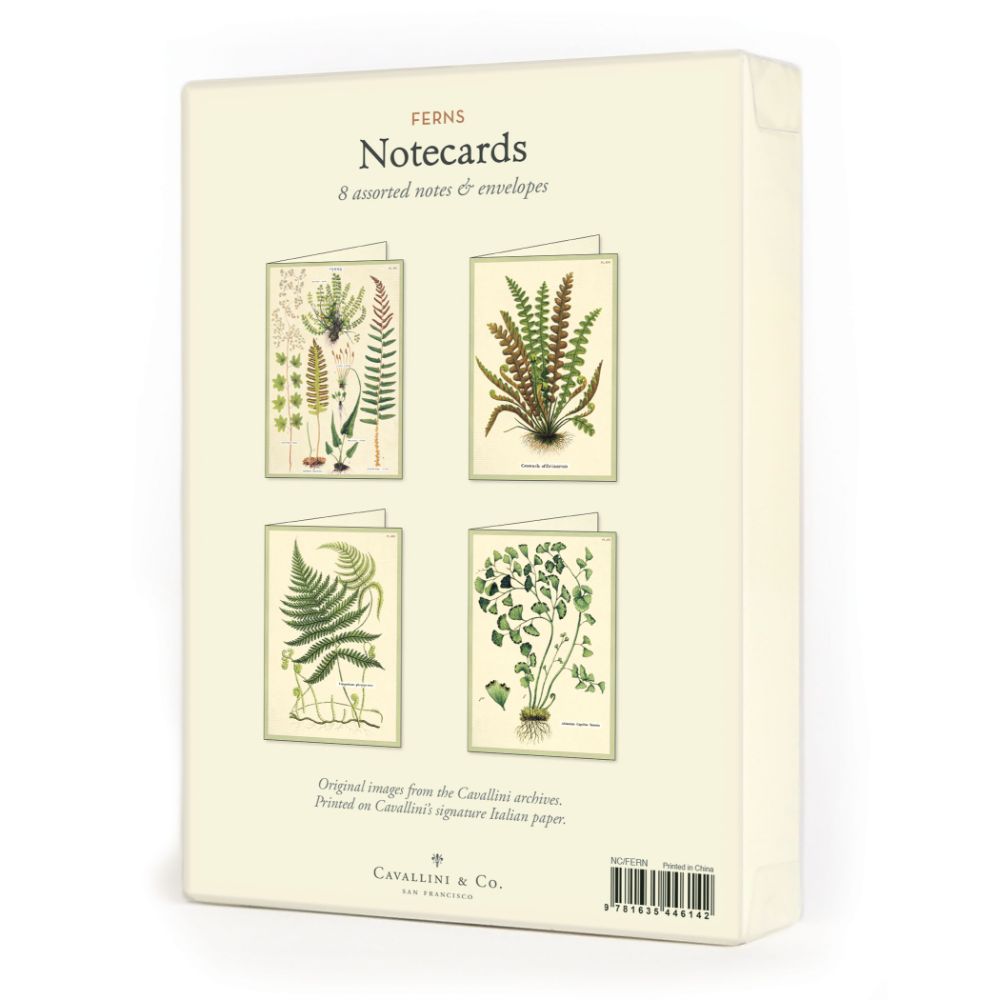 Fern - Boxed Notecards