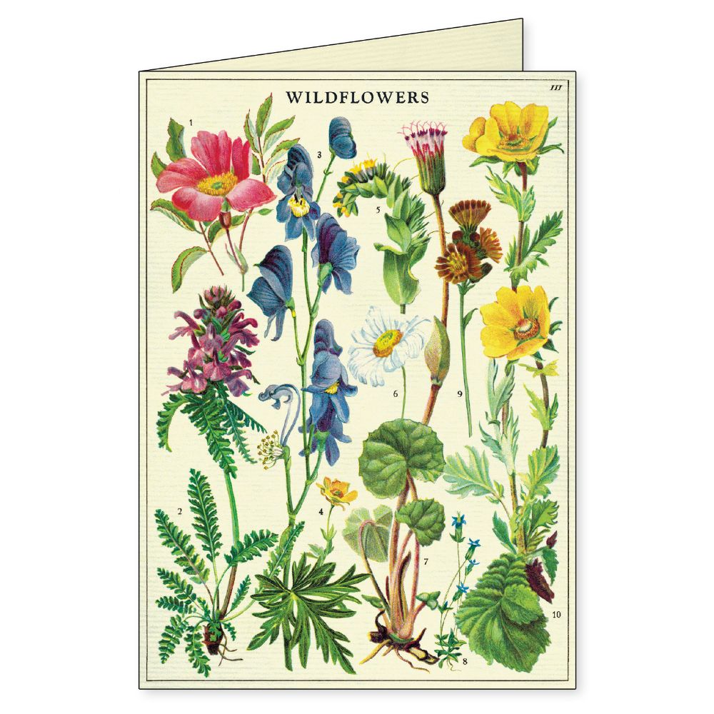Wildflowers - Boxed Notecards