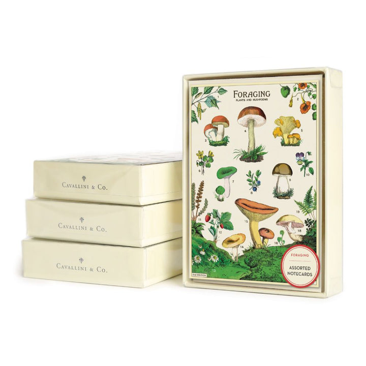 Foraging - Boxed Notecards