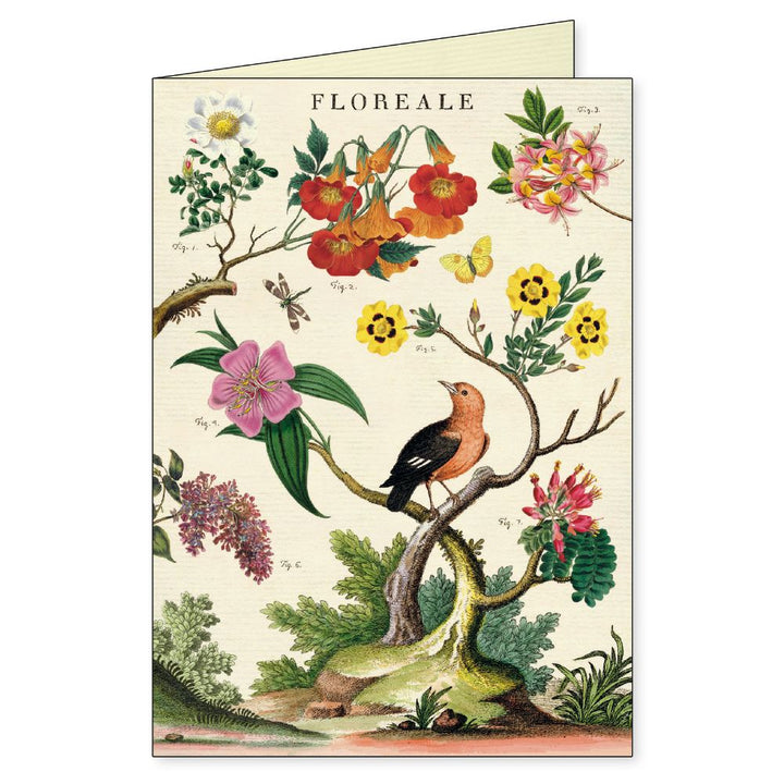 Floreale - Boxed Notecards