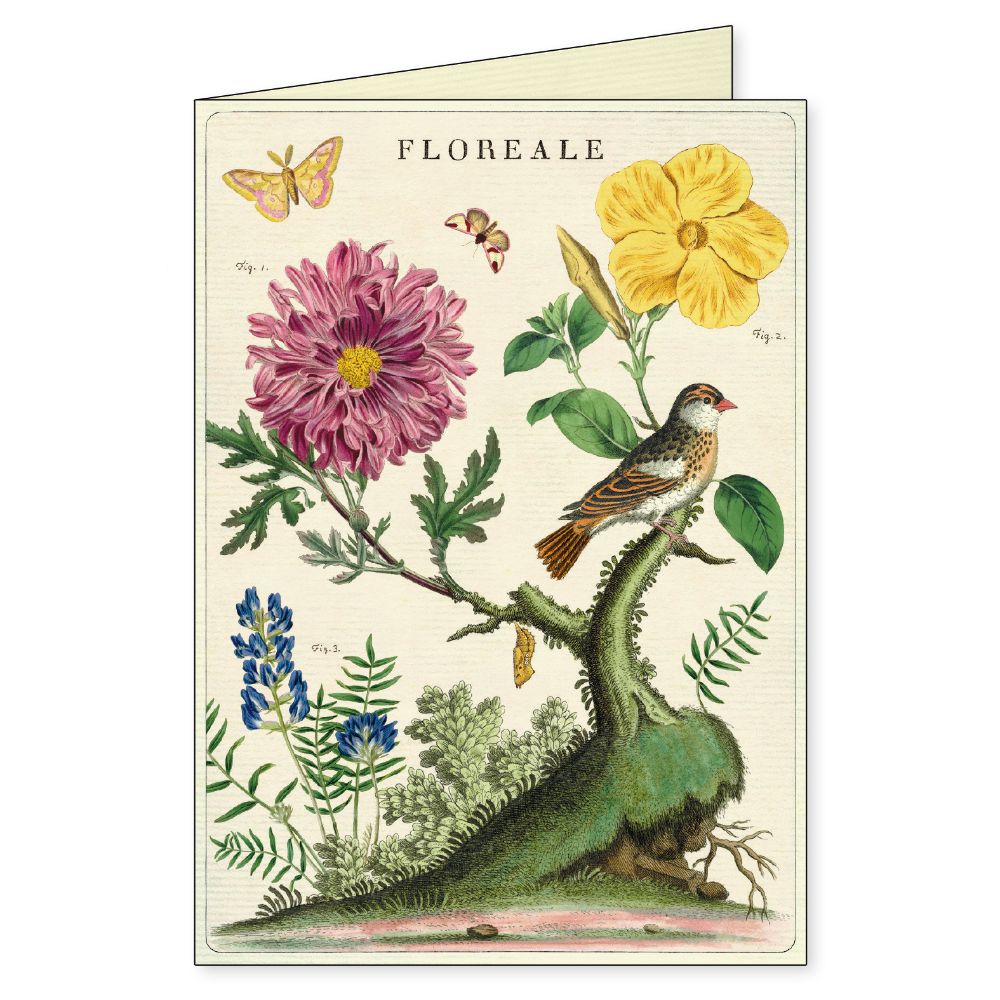 Floreale - Boxed Notecards