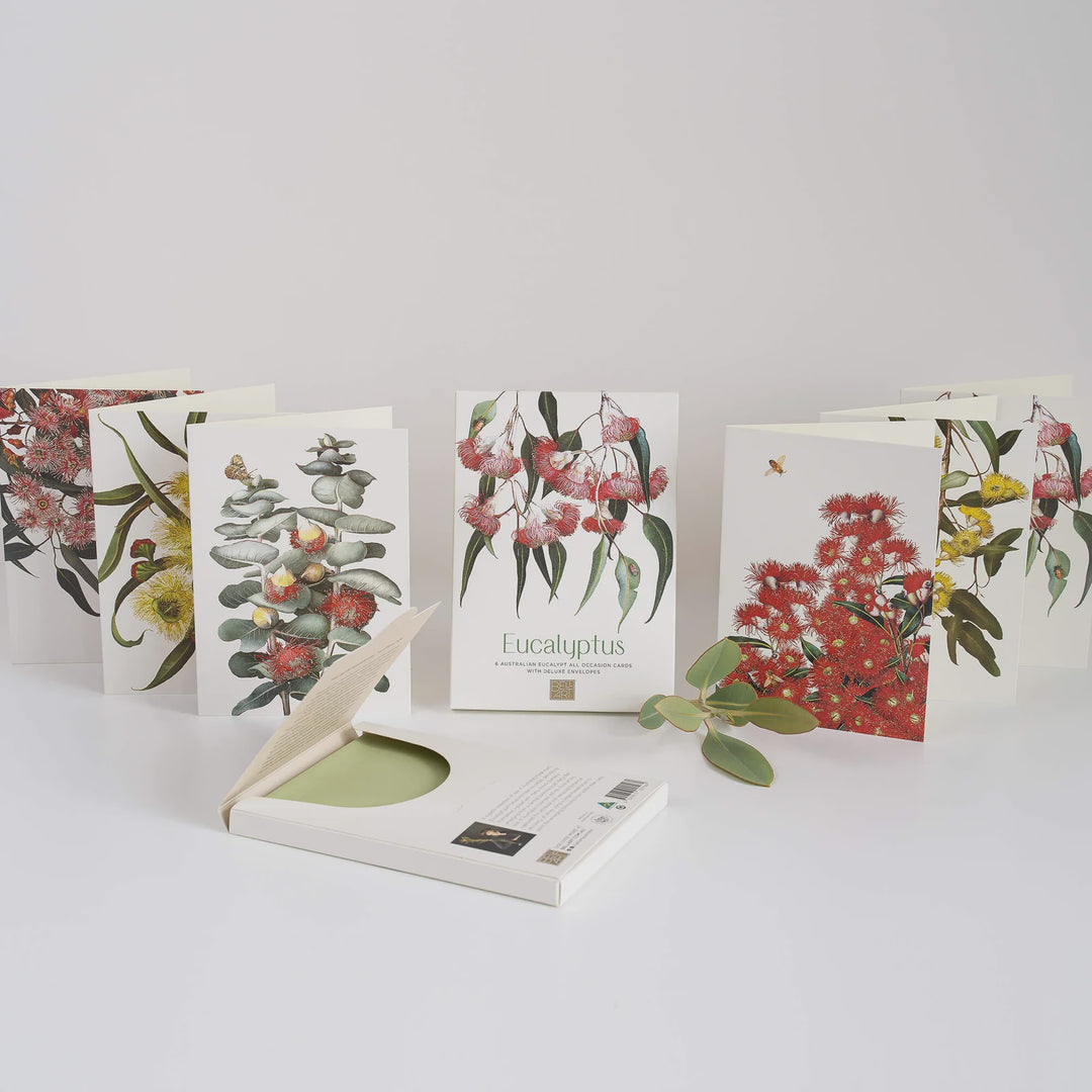 Boxed Cards - Eucalyptus Collection