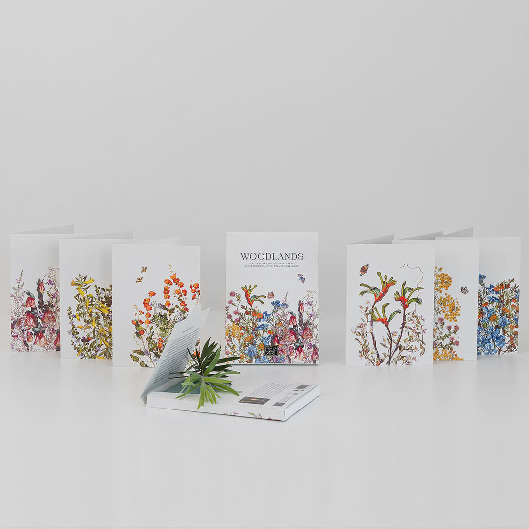Boxed Cards - Woodlands Collection