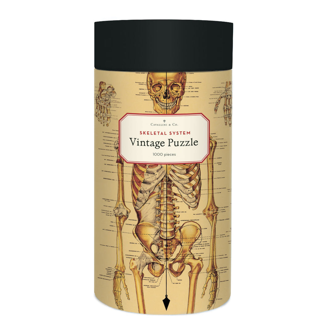 Cavallini & Co. 1000 Piece Puzzle - Skeletal System