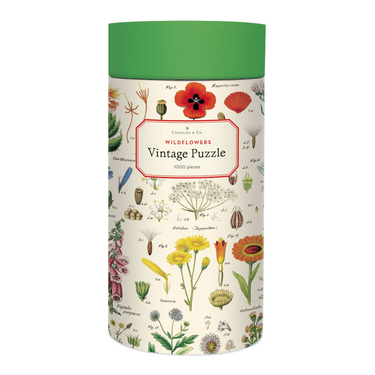 Cavallini & Co. 1000 Piece Puzzle - Wildflowers