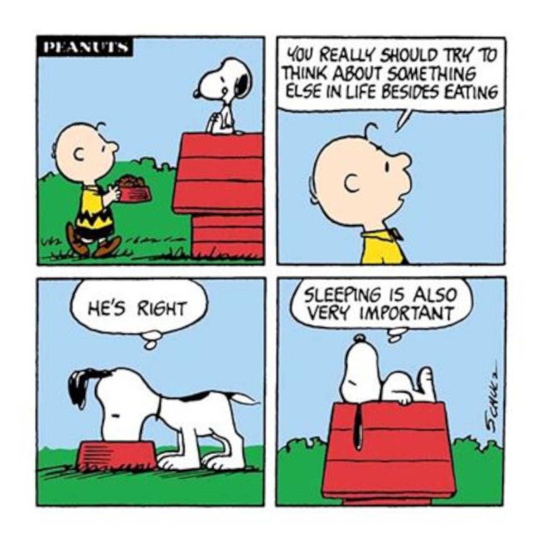 Peanuts Card - Sleeping