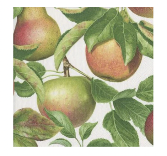 Cocktail Napkin - Apple Orchard