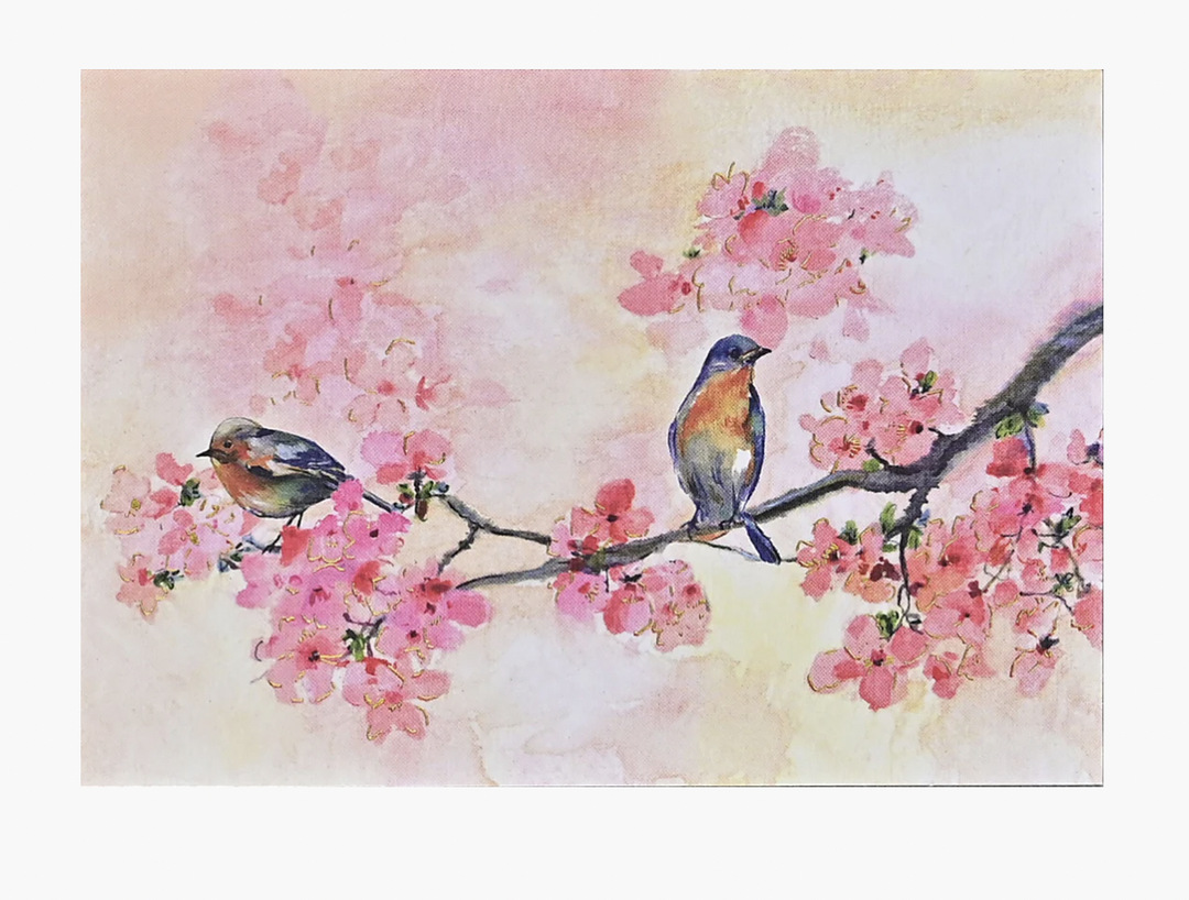 Boxed Note Cards - Cherry Blossoms In Spring