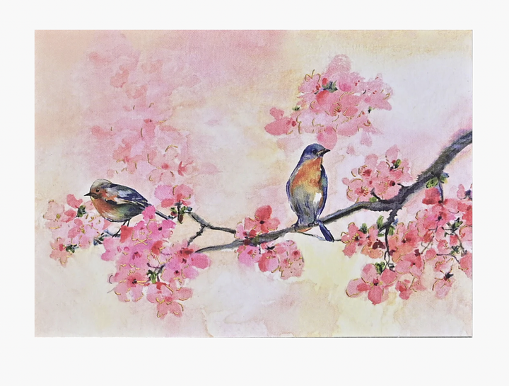 Boxed Everyday Note Cards - Cherry Blossoms In Spring