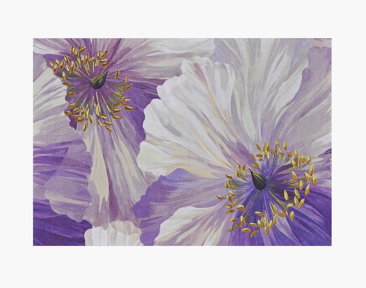 Boxed Note Cards - Poppies In Bloom