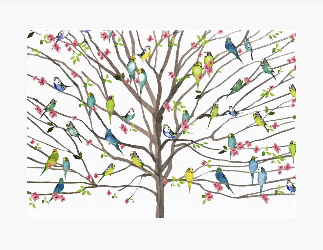 Boxed Note Cards - Tree Of Budgies