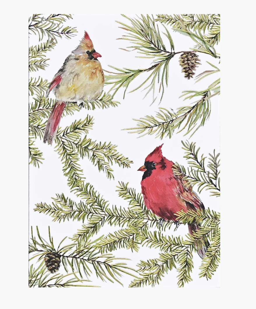 Small Boxed Christmas Cards - Cardinals In Evergreen
