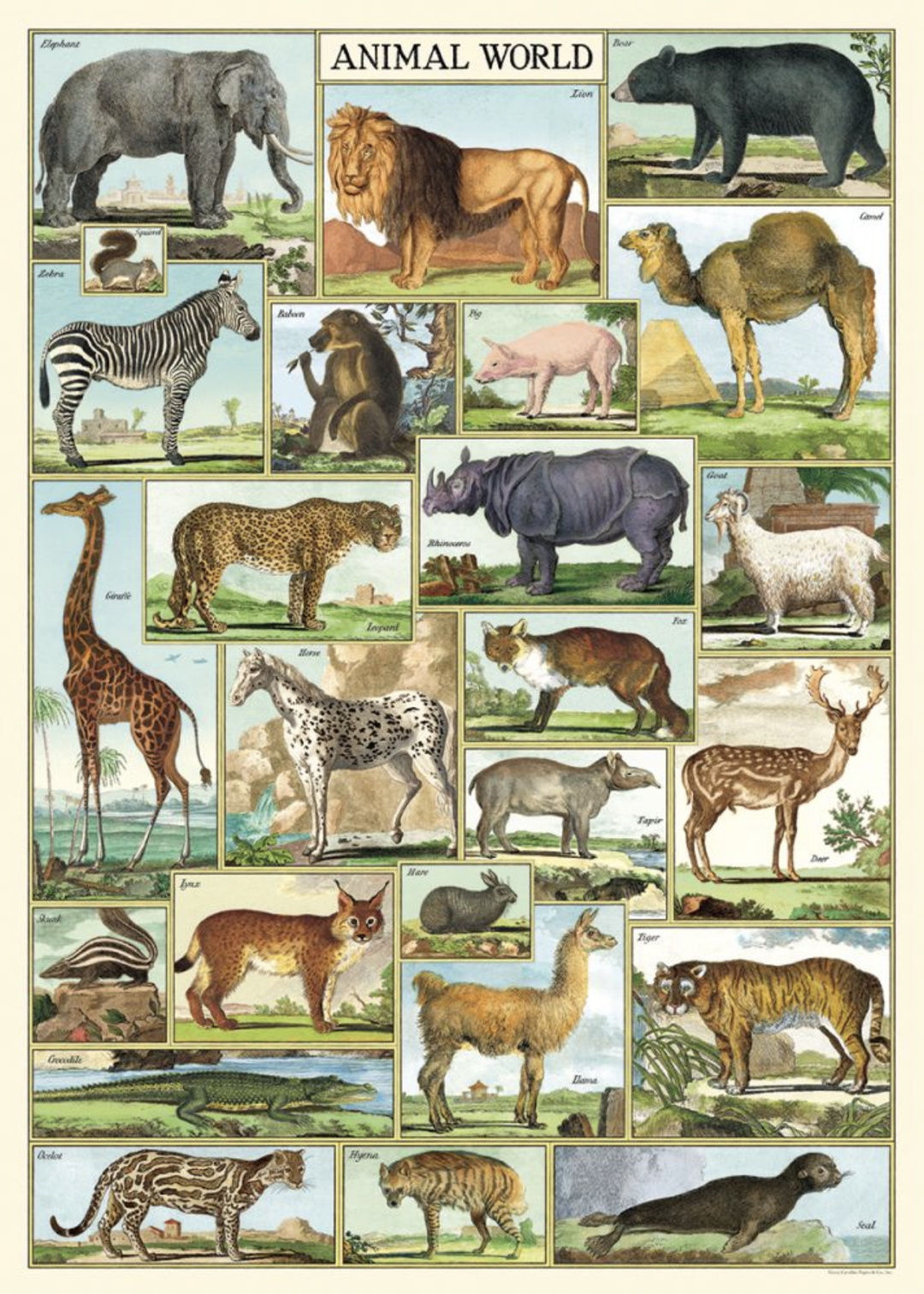 Animal World Poster