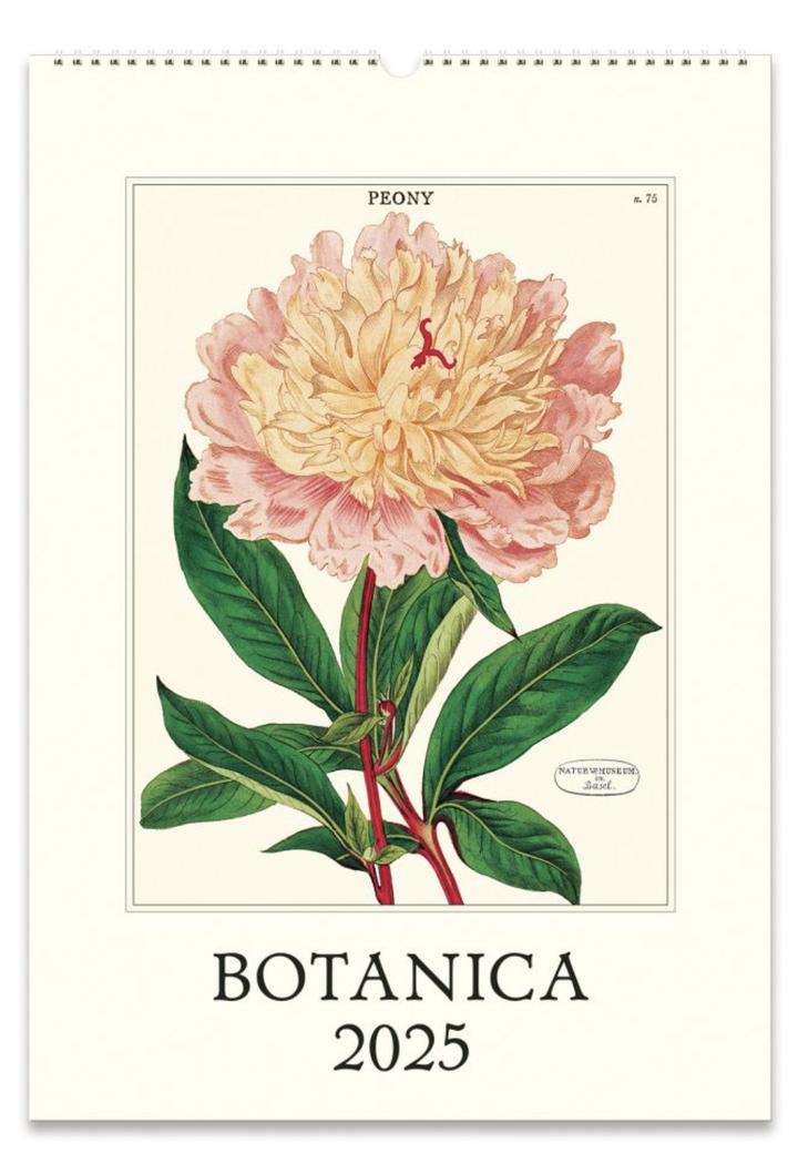 Cavallini 2025 Wall Calendar - Botanica