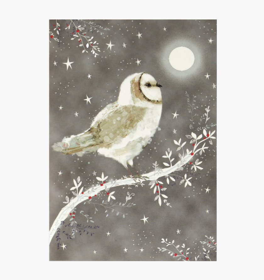 Small Boxed Christmas Cards - Starry Night Owl