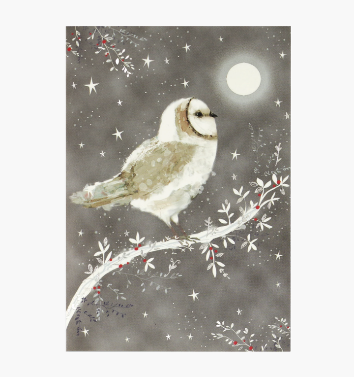 Small Boxed Christmas Cards - Starry Night Owl