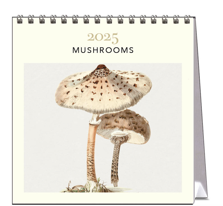Hello Sunday 2025 Desk Calendar - Mushrooms