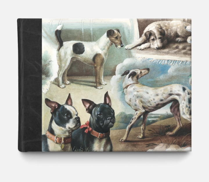 Bomo Photo Album - Darling the Dogs are Alright! Large
