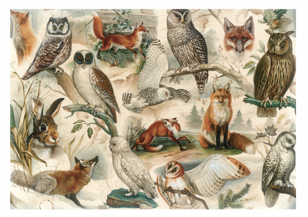 Bomo Paper - Fox & Owl