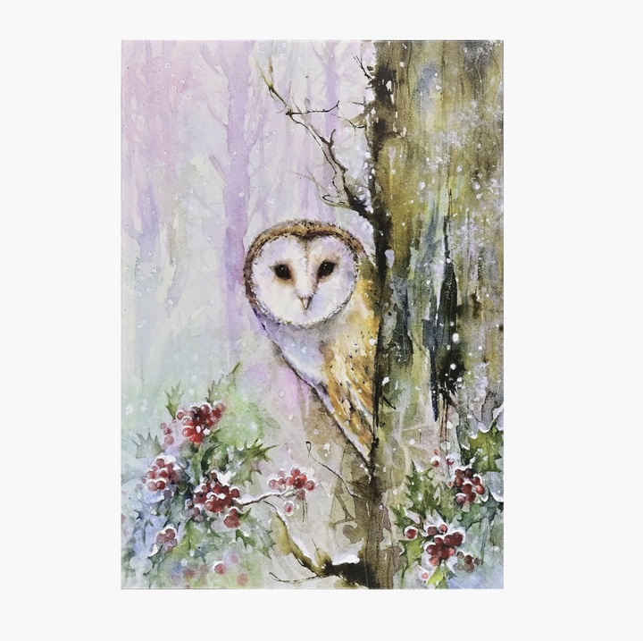 Small Boxed Christmas Cards - Woodland Owl