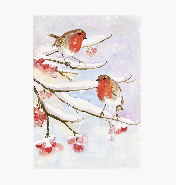 Small Boxed Christmas Cards - English Robins in Snow