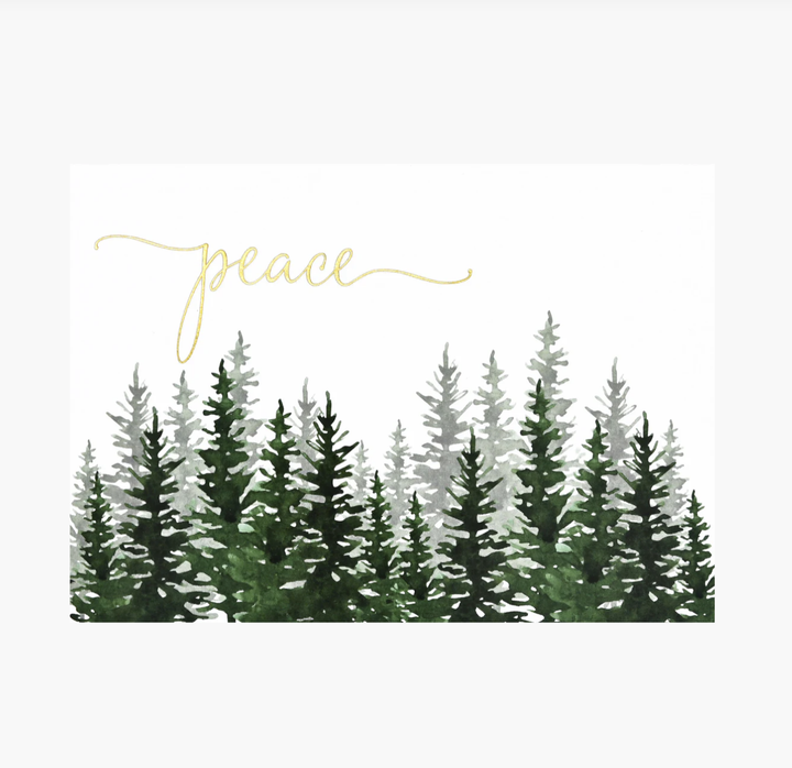 Deluxe Boxed Christmas Cards - Winter Evergreens