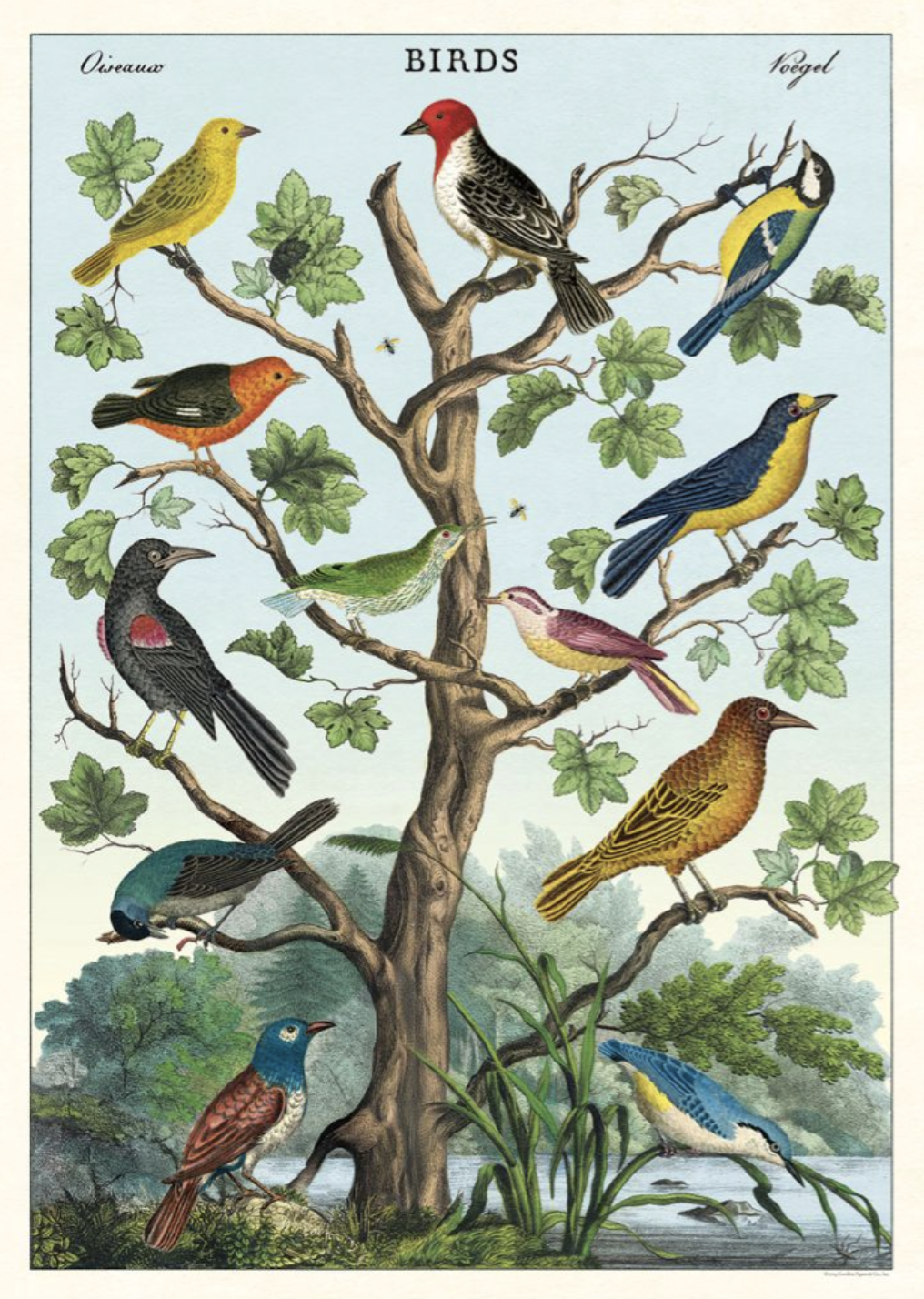 Birds Poster