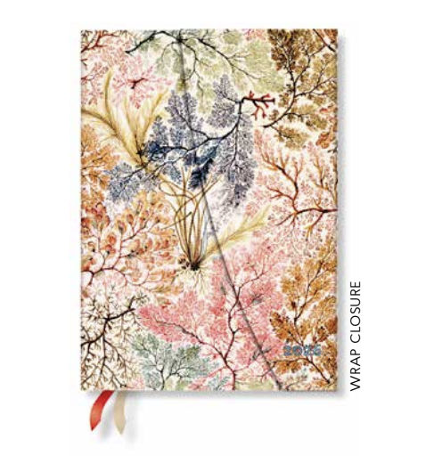 2026 Anemone, Midi, Verso, Hardcover Weekly Diary