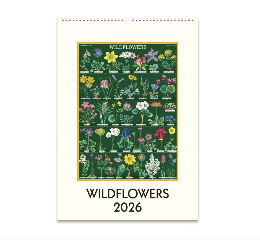 Cavallini 2026 Wall Calendar - Wildflowers