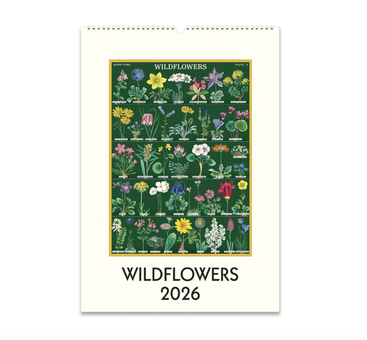 Cavallini 2026 Wall Calendar - Wildflowers