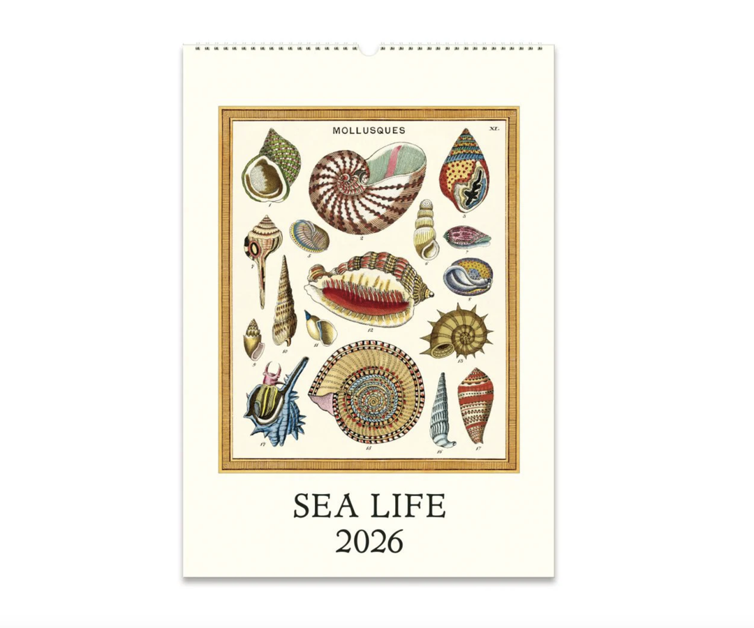 Cavallini 2026 Wall Calendar - Sea Life