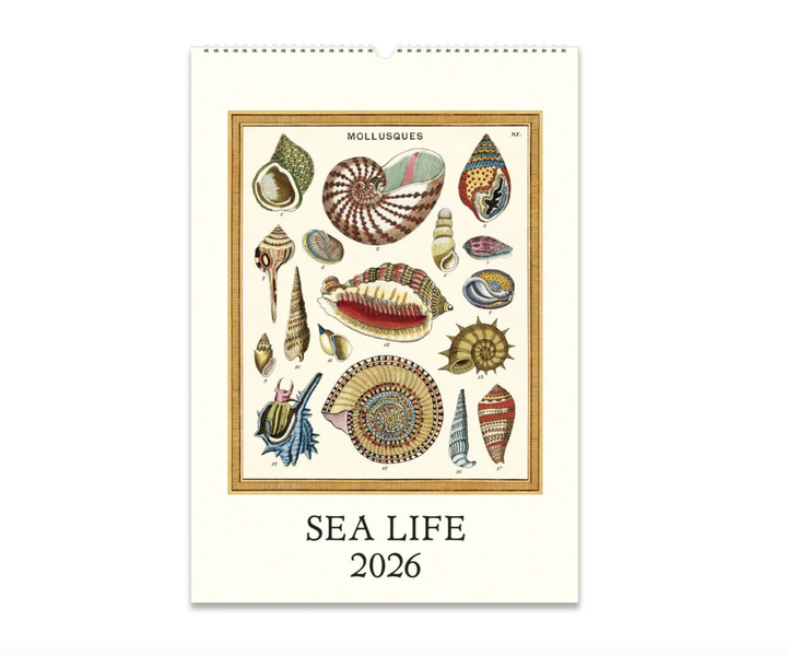 Cavallini 2026 Wall Calendar - Sea Life