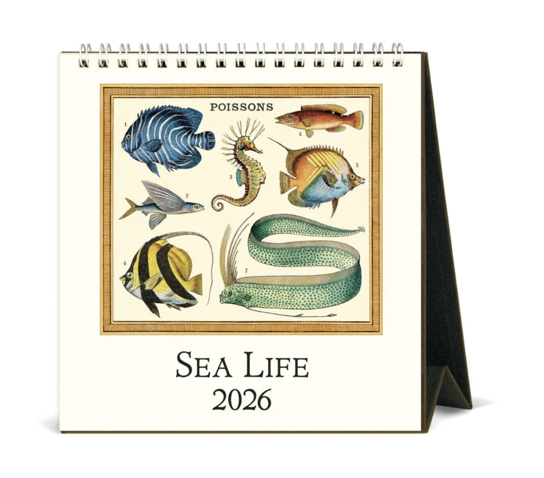 Cavallini 2026 Desk Calendar - Sea Life
