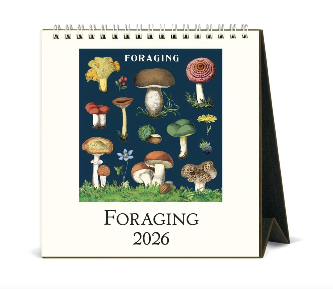 Cavallini 2026 Desk Calendar -Foraging