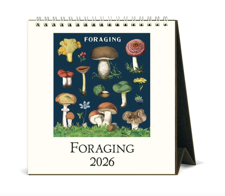Cavallini 2026 Desk Calendar -Foraging