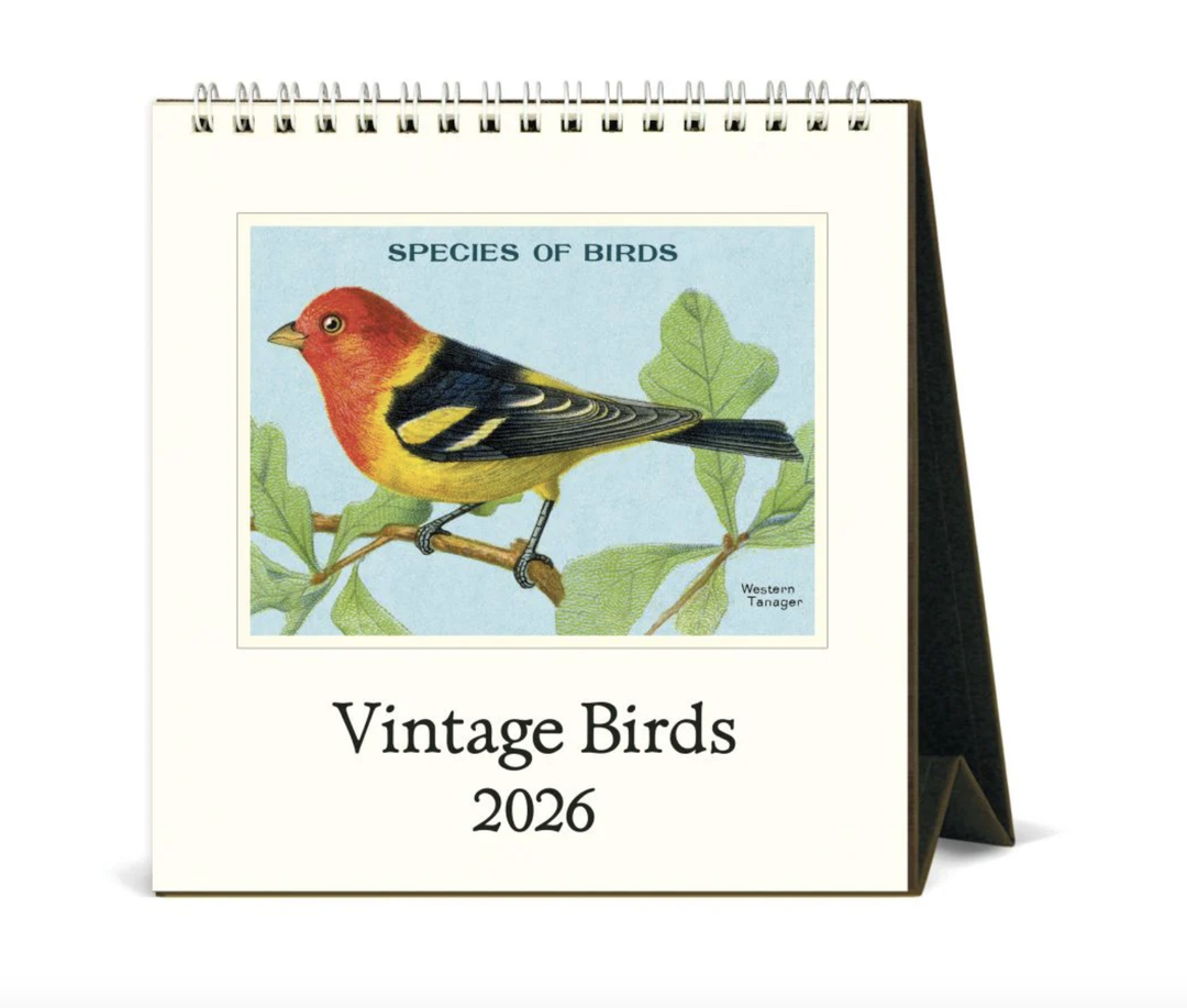 Cavallini 2026 Desk Calendar - Birds