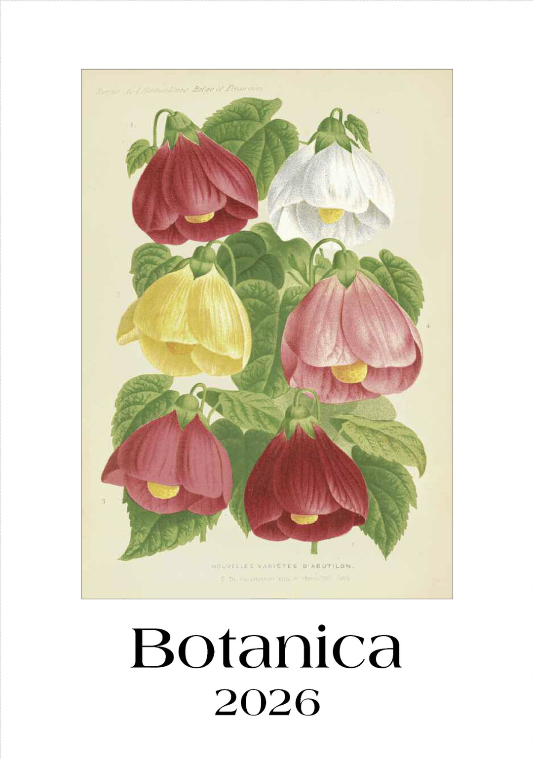 IFI 2026 Large Calendar - Botanica