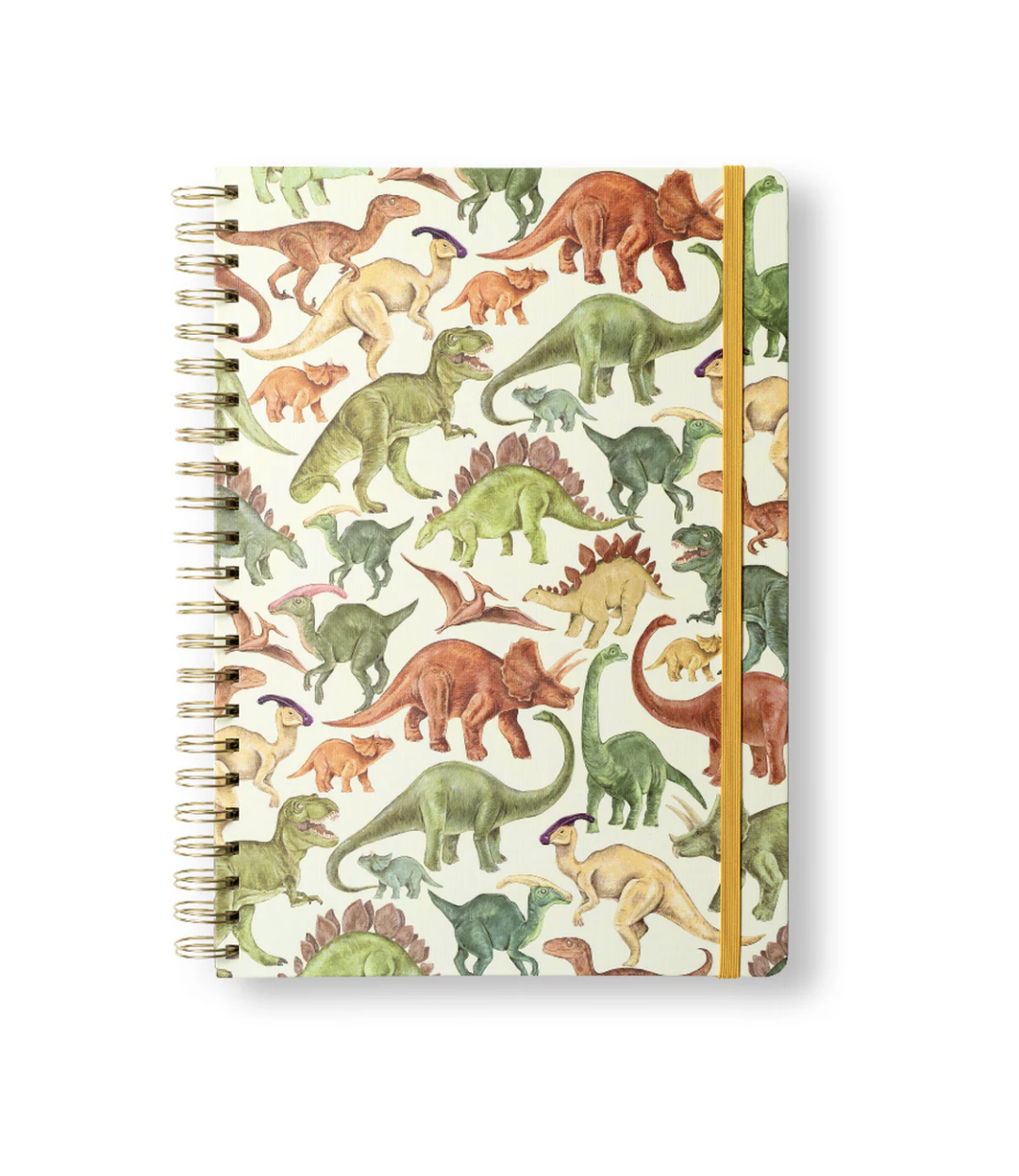 The Art File A4 Wiro Hardback Notebook - Dinosaurs