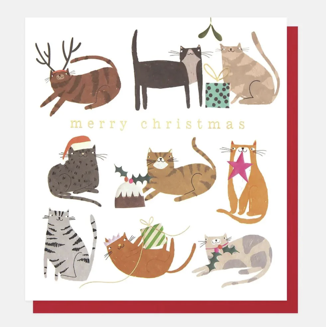 Caroline Gardner Card - Merry Christmas Cats Festive Activities
