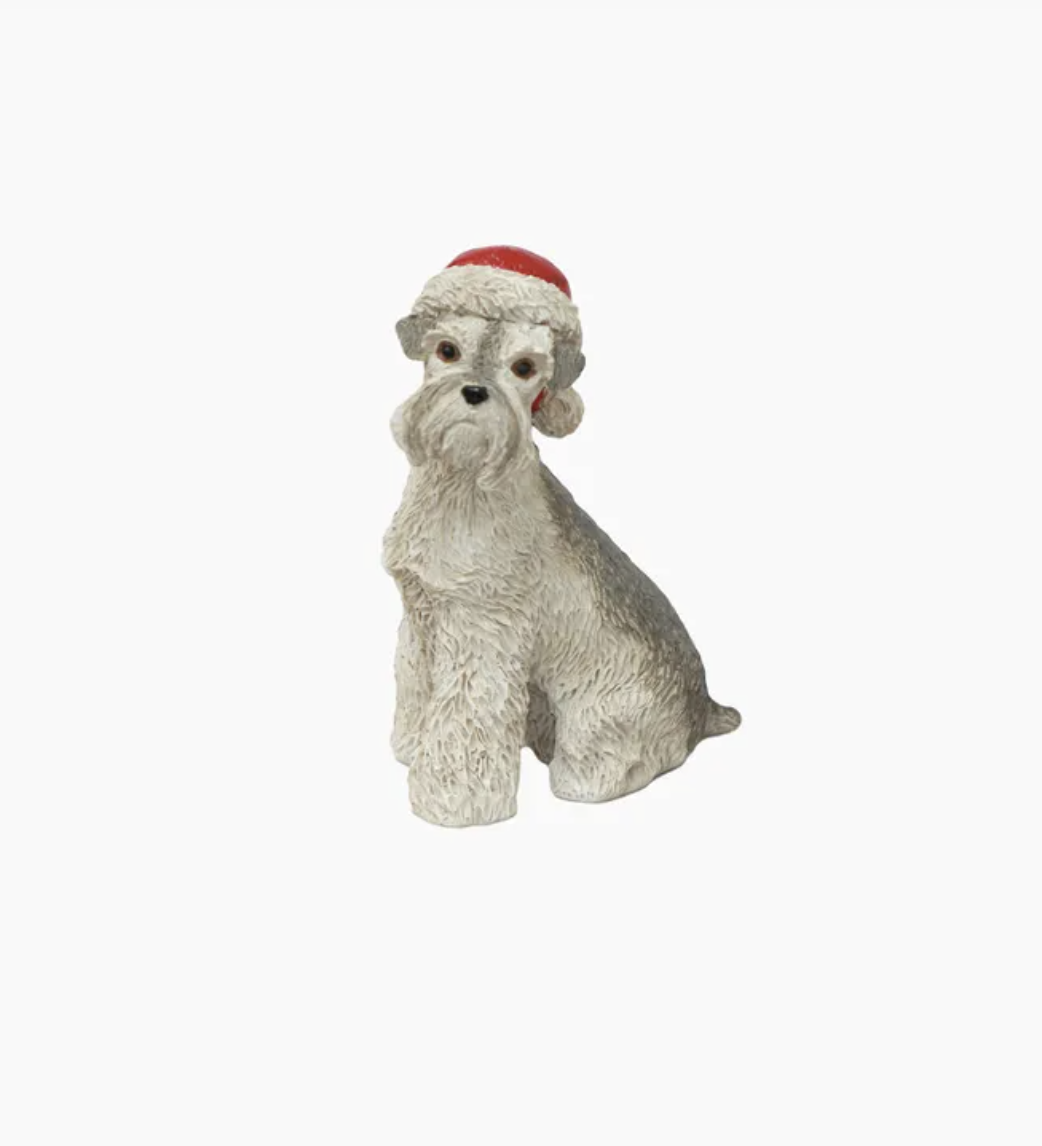Schnauzer with Santa Hat