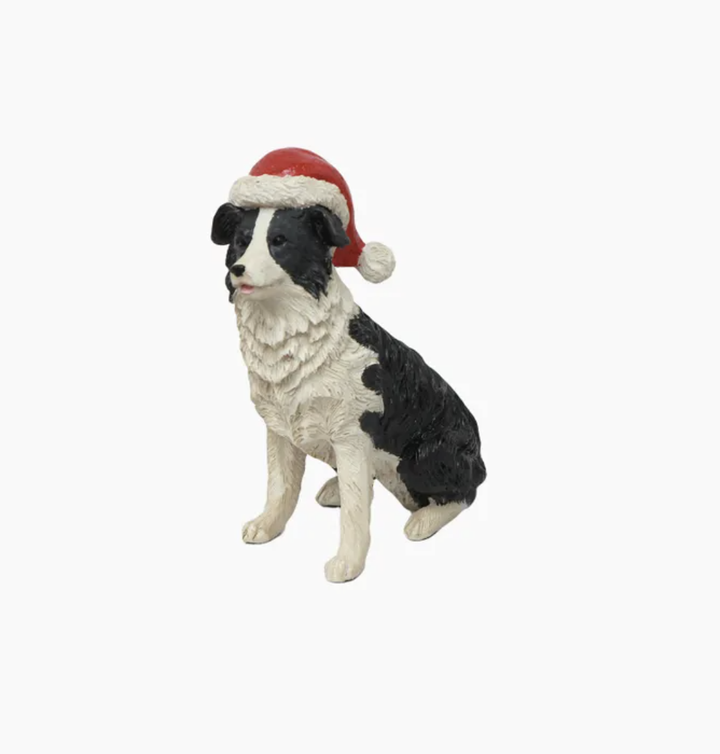 Sheep Dog with Santa Hat