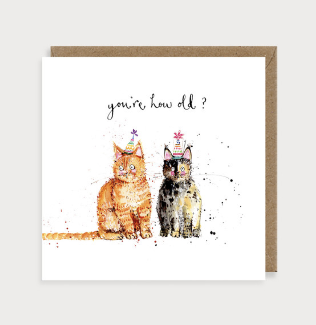 Furry Friends Card - Cats You're How Old?