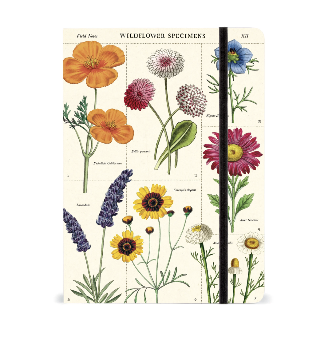 Cavallini Large Notebook - Wildflower Specimens
