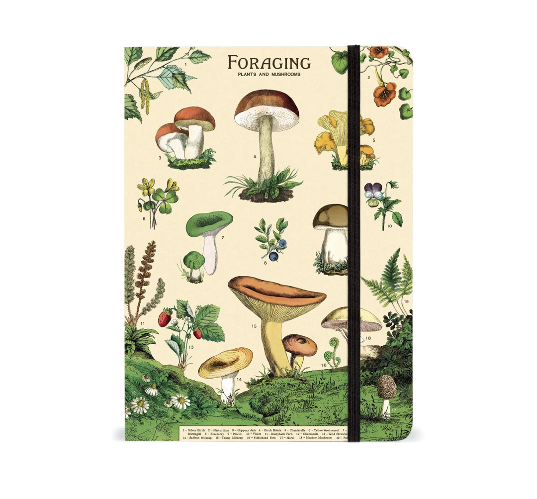 Cavallini Large Notebook -Foraging