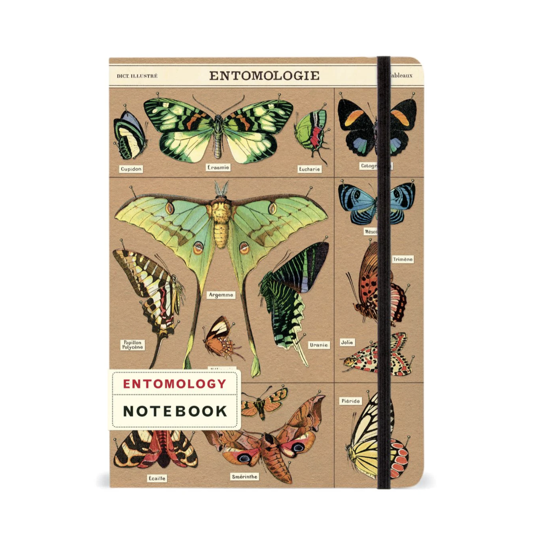 Cavallini Large Notebook -Entomology