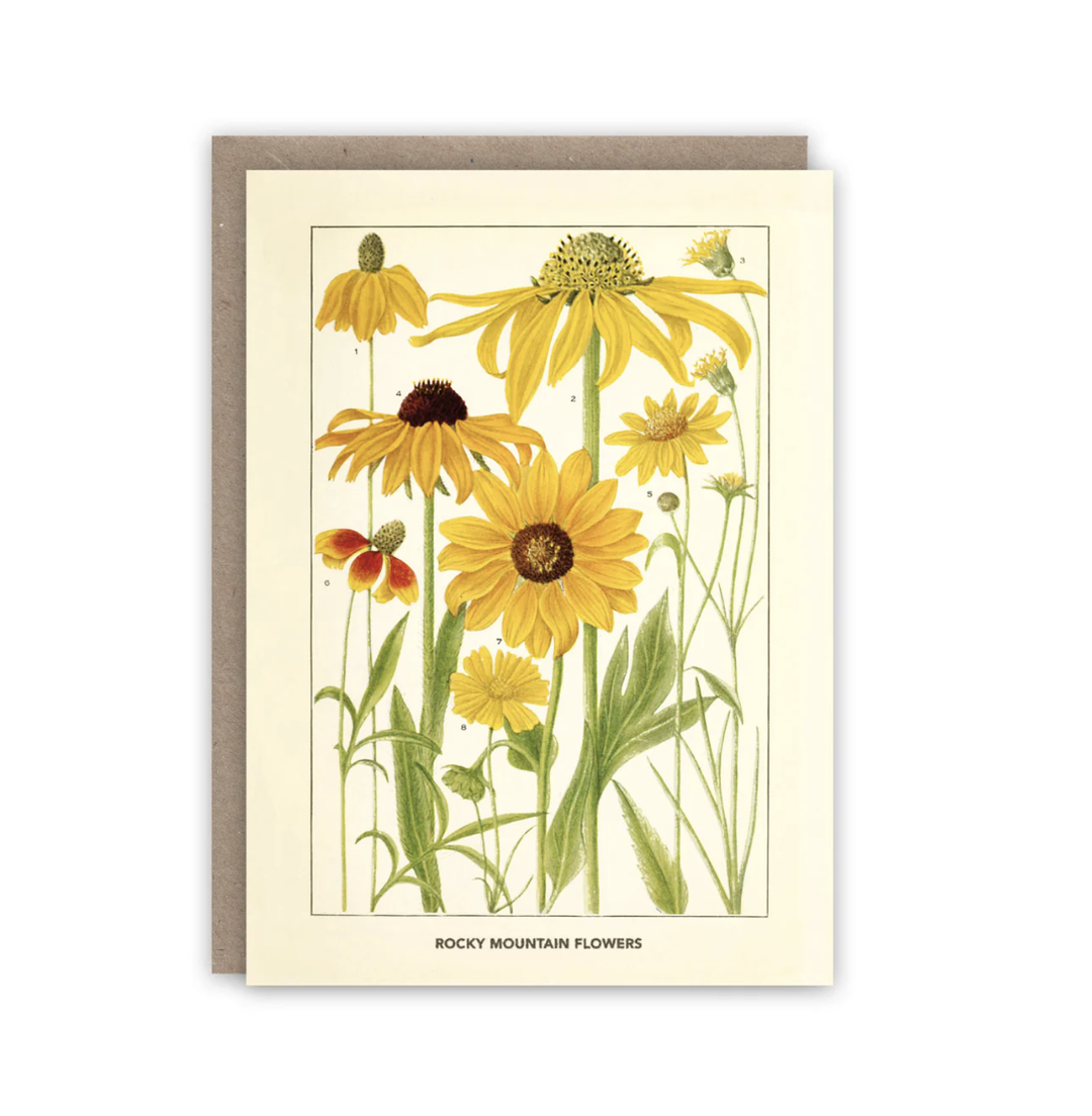 The Pattern Book - Rocky Mountain Flowers Notecard Set