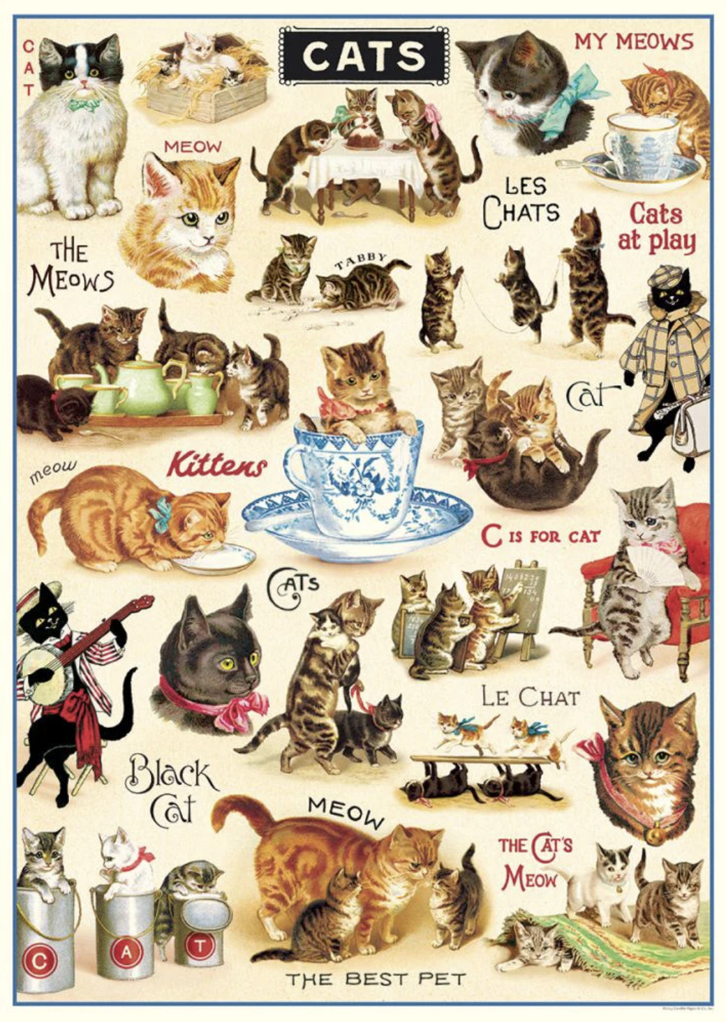 Cats Poster