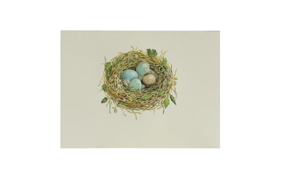 Paula Skene Card - Nest Easter